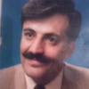 نبيل عبد الهادي