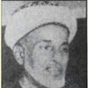 أحمد بن الأمين الشنقيطي