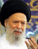 محمد حسين فضل الله