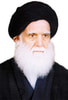 محمد الصدر