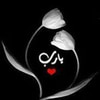 وريدة كلوش