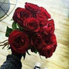 Aloosh Aloosh
