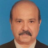 عادل مصطفى