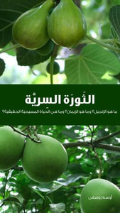 غلاف الثورة السرية