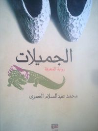غلاف الجميلات
