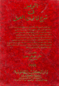 الوجيز فى شرح قانون العمل