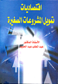 اقتصاديات تمويل المشروعات الصغيرة