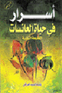 أسرار في حياة العانسات