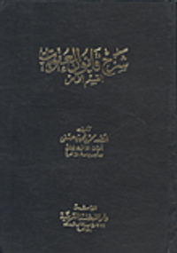 شرح قانون العقوبات "القسم الخاص"