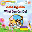 شقاوة قطة