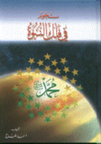 نجوم في فلك النبوة