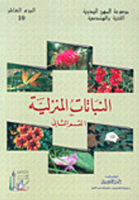 النباتات المنزلية (القسم الثاني)