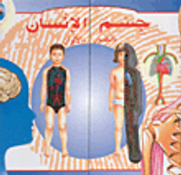 جسم الإنسان بالصور والألوان