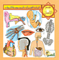 سلسلة آيات القرآن بالرسوم والألوان