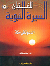 الدعوة في مكة ج3