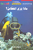 ماذا يرى الغطاس؟