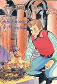 حكاية الأميرة وكيس الفحم