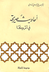 أحاديث صريحة في أمريكا