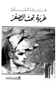 غربة تحت الصفر