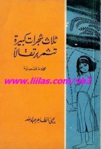 ثلاث شجرات كبيرة تثمر برتقالا