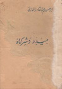 ميدو وشركاه