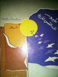 غلاف طيور إلى الشمس المرة