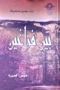 غلاف بين فراغين
