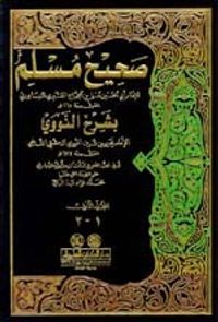 صحيح مسلم بشرح النووي 1/10 مع الفهارس - مرقمة الاحاديث - لونان