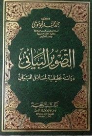 التصوير البياني: دراسة تحليلية لمسائل البيان