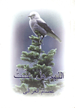 اللهم هل غنيت