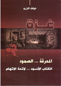 غزة المحرقة .... الصمود