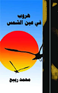 هروب فى عين الشمس