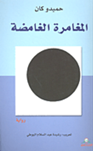 المغامرة الغامضة