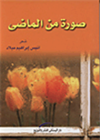 صورة من الماضي