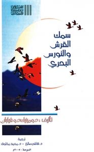 سمك القرش والنورس البحري