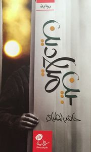 بين ميلادين