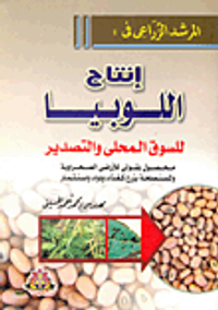 إنتاج اللوبيا للسوق المحلى والتصدير