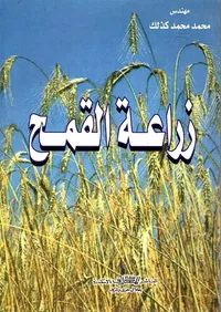 زراعة القمح