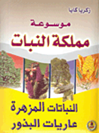 النباتات المزهرة عاريات البذور