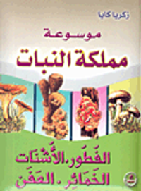 الفطور، الأشنات، الخمائر، العفن