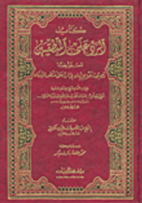 كتاب الرد على المنطقيين المسمى أيضاً نصيحة أهل الإيمان في الرد على منطق اليونان