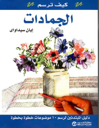 كيف ترسم الجمادات