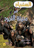 السندباد في مدينة القرود