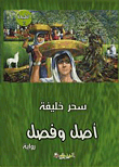أصل وفصل