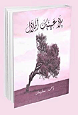 بلا عينيك أطلال