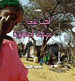 الحب فى مملكة الجنجويد