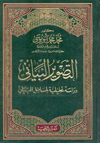 التصوير البياني"دراسة تحليلية لمسائل البيان"