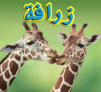 زرافة