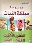 الفطور، الأشنات، الخمائر، العفن