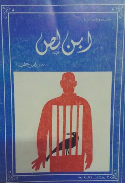 غلاف كتاب ابن لص